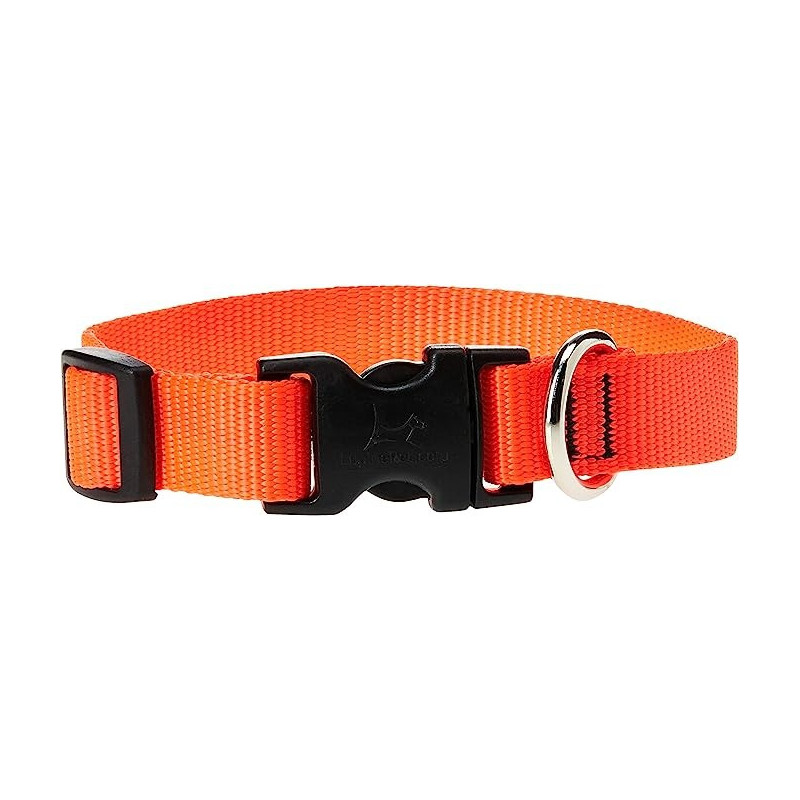 Lupinepet 9-14 Inch Basics Adjustable Collar, 3/4 Inch Width For Medium Dogs, Orange