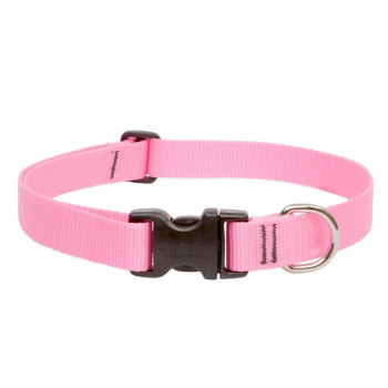 Lupinepet 10-16 Inch Basics Adjustable Collar, 1/2 Inch Width For Small Dogs, Pink