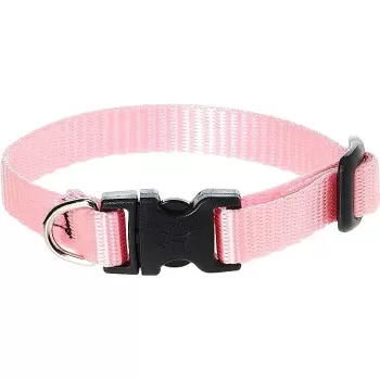 Lupinepet 6-9 Inch Basics...