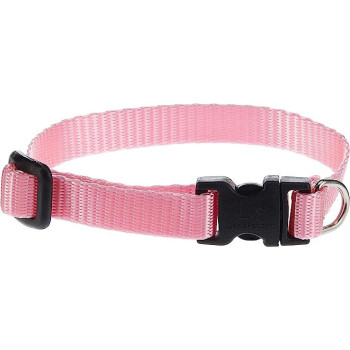 Lupinepet 8-12 Inch Basics Adjustable Collar, 1/2 Inch Width For Small Dogs, Pink