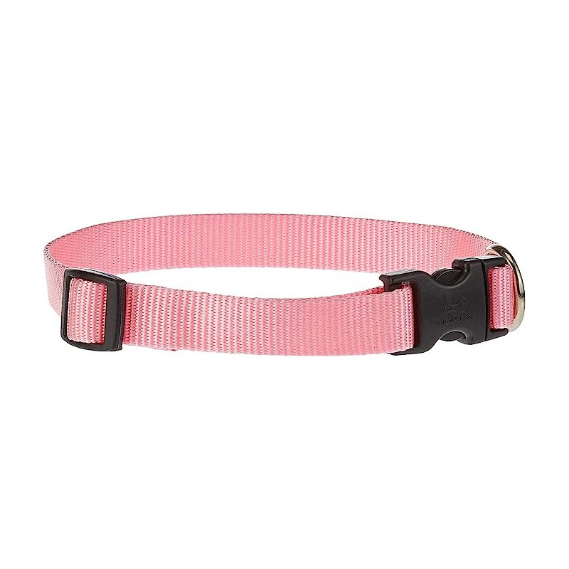 Lupinepet 13-22 Inch Basics Adjustable Collar, 3/4 Inch Width For Medium Dogs, Pink