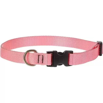 Lupinepet 15-25 Inch Basics...