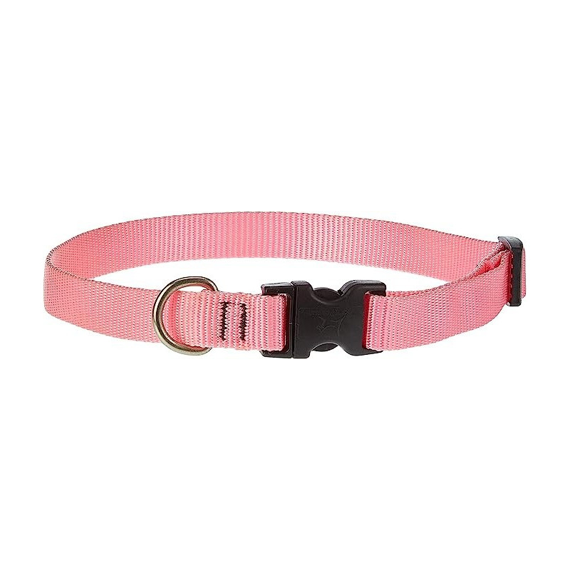 Lupinepet 15-25 Inch Basics Adjustable Collar, 3/4 Inch Width For Medium Dogs, Pink