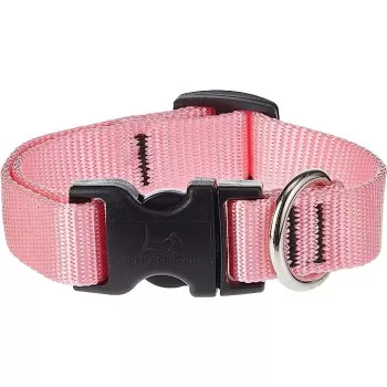 Lupinepet 9-14 Inch Basics...