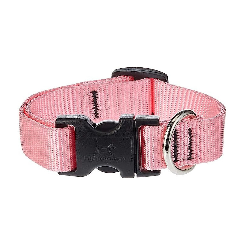 Lupinepet 9-14 Inch Basics Adjustable Collar, 3/4 Inch Width For Medium Dogs, Pink