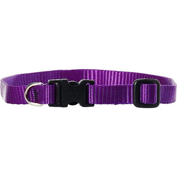 Lupinepet 10-16 Inch Basics...