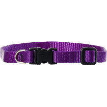 Lupinepet 10-16 Inch Basics Adjustable Collar, 1/2 Inch Width For Small Dogs, Purple