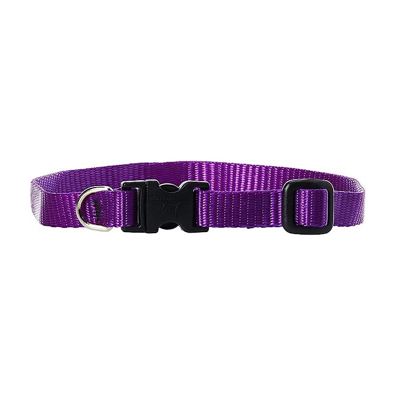 Lupinepet 10-16 Inch Basics Adjustable Collar, 1/2 Inch Width For Small Dogs, Purple