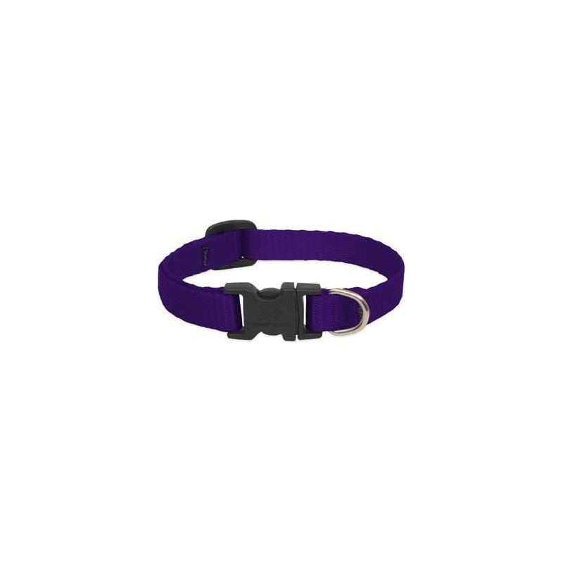 Lupinepet 6-9 Inch Basics Adjustable Collar, 1/2 Inch Width For Small Dogs, Purple