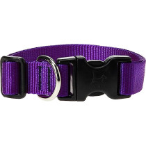 Lupinepet 12-20 Inch Basics Adjustable Collar, 1 Inch Width For Big Dogs, Purple