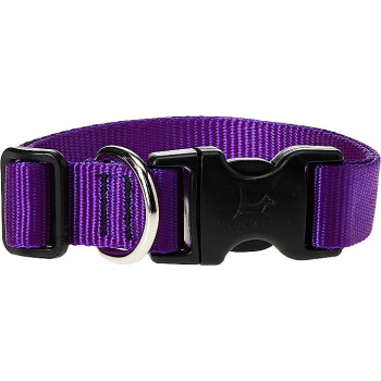 Lupinepet 16-28 Inch Basics...