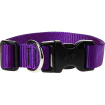 Lupinepet 16-28 Inch Basics Adjustable Collar, 1 Inch Width For Big Dogs, Purple