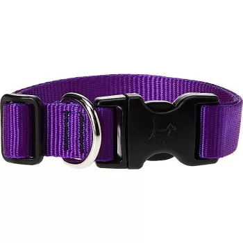 Lupinepet 13-22 Inch Basics...