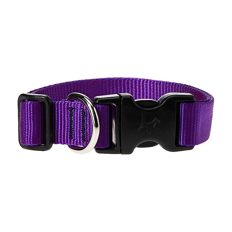 Lupinepet 13-22 Inch Basics Adjustable Collar, 3/4 Inch Width For Medium Dogs, Purple