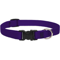 Lupinepet 15-25 Inch Basics Adjustable Collar, 3/4 Inch Width For Medium Dogs, Purple