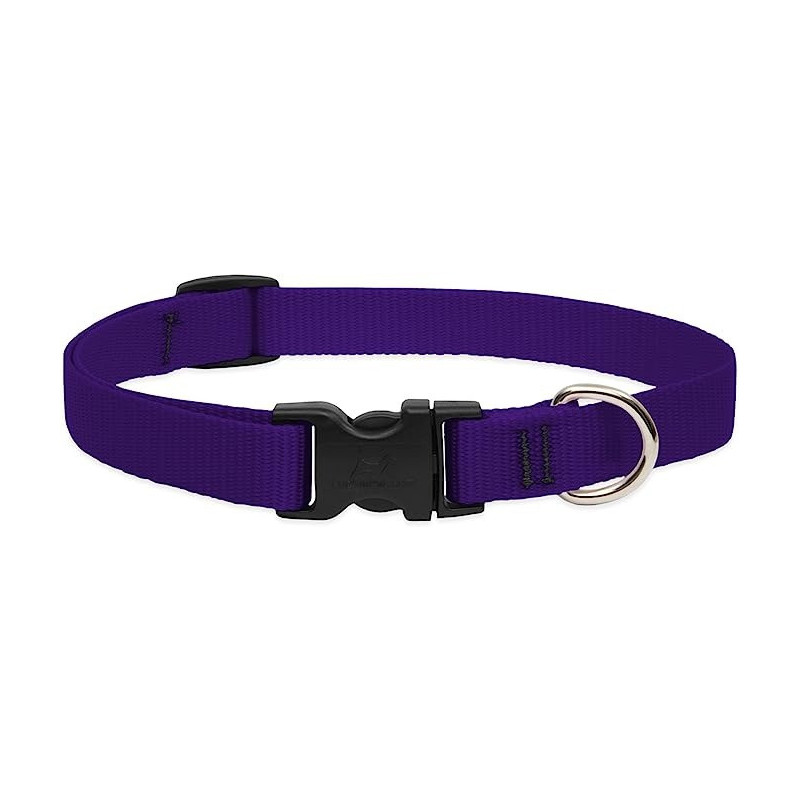 Lupinepet 15-25 Inch Basics Adjustable Collar, 3/4 Inch Width For Medium Dogs, Purple