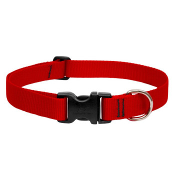 Lupinepet 6-9 Inch Basics Adjustable Collar, 1/2 Inch Width For Small Dogs, Red