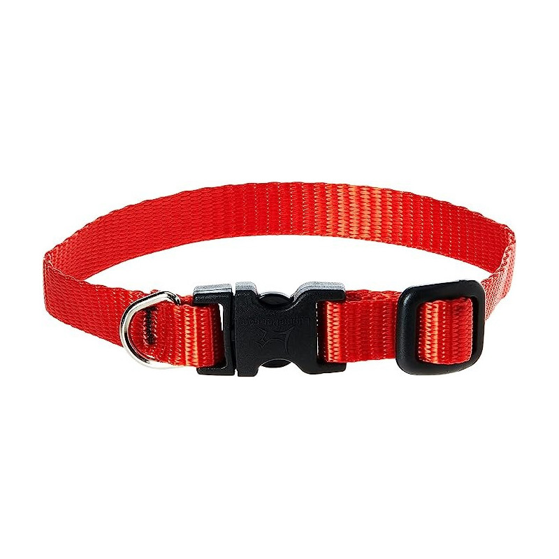 Lupinepet 8-12 Inch Basics Adjustable Collar, 1/2 Inch Width For Small Dogs, Red