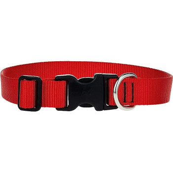 Lupinepet 12-20 Inch Basics Adjustable Collar, 1 Inch Width For Large Dogs, Red