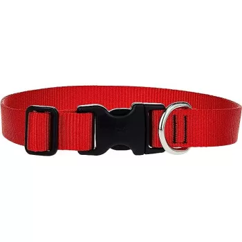 Lupinepet 12-20 Inch Basics...