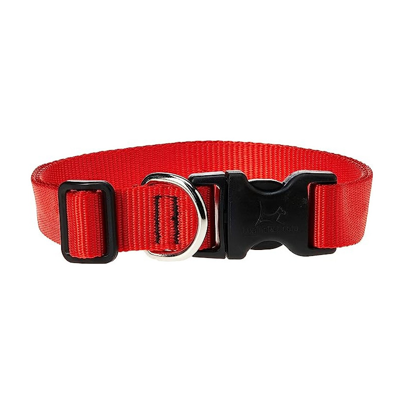 Lupinepet 16-28 Inch Basics Adjustable Collar, 1 Inch Width For Large Dogs, Red