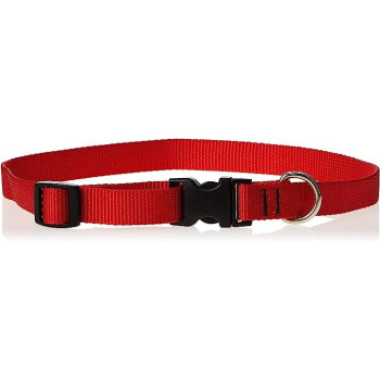 Lupinepet 15-25 Inch Basics...