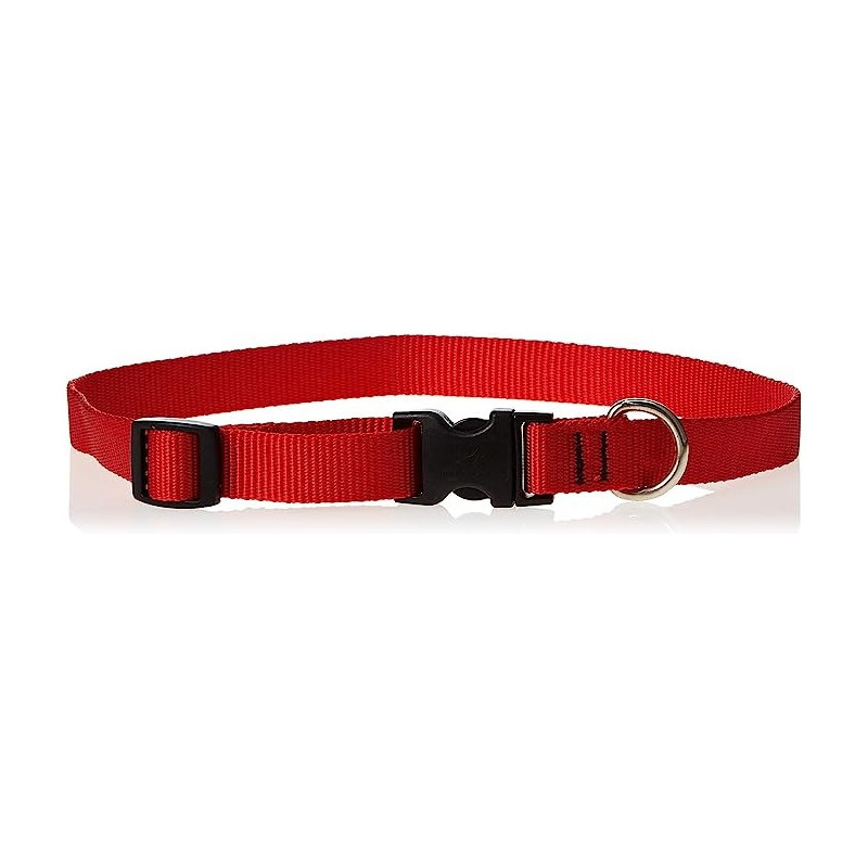 Lupinepet 15-25 Inch Basics Adjustable Collar, 3/4 Inch Width For Medium Dogs, Red