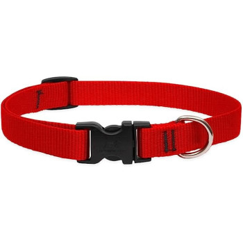 Lupinepet 9-14 Inch Basics Adjustable Collar, 3/4 Inch Width For Medium Dogs, Red