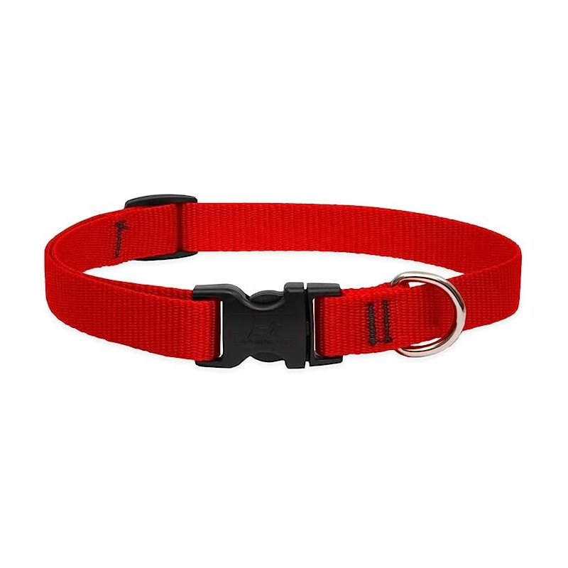 Lupinepet 9-14 Inch Basics Adjustable Collar, 3/4 Inch Width For Medium Dogs, Red