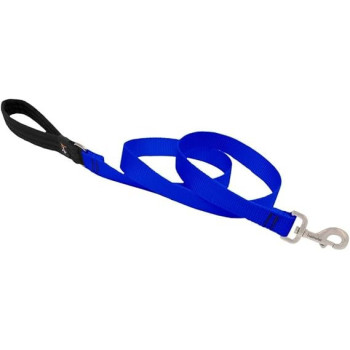 Lupinepet Basic Solids Padded Handle Dog Leash Thick, Blue, 4Ft