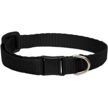 Lupinepet Basic Solids Safety Cat Collar Adjustable Fit, Black, 1/2 Inch