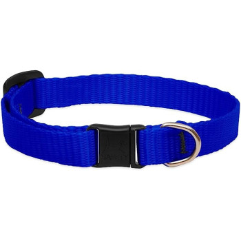 Lupinepet Basic Solids Safety Cat Collar Adjustable Fit, Blue