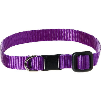 Lupinepet Basic Solids Safety Cat Collar Adjustable Fit, Purple
