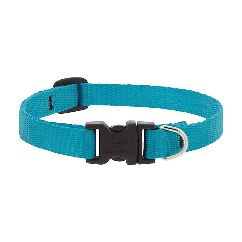Lupinepet Cat Collar With Bell Basics, Aqua, 1/2 Inch, Aqua, 10/16 Inch