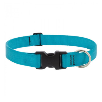 Lupinepet Basics Adjustable Collar For Large Dogs, 1 Inch, Aqua, 16/28 Inch