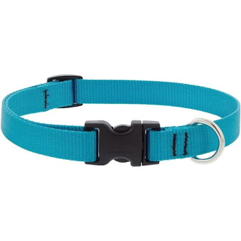 Lupinepet Basics Adjustable Collar For Large Dogs, 3/4 Inch, Aqua, 9/14 Inch
