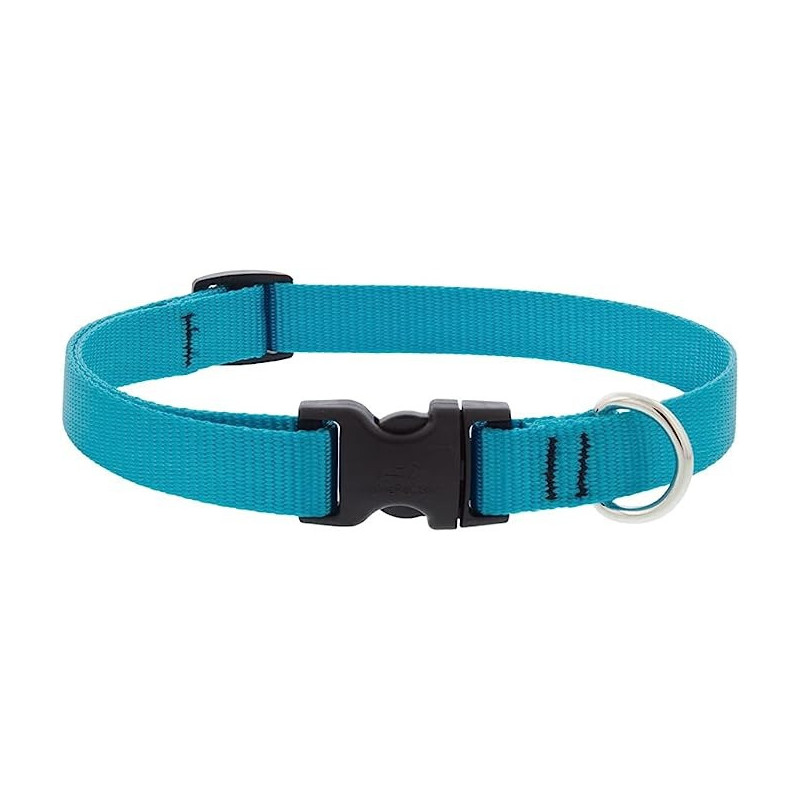 Lupinepet Basics Adjustable Collar For Large Dogs, 3/4 Inch, Aqua, 9/14 Inch