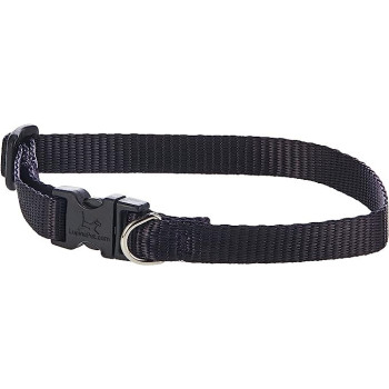 Lupinepet Basics 1/2 Inch Width Adj Collar, 10/16 Inch, Black