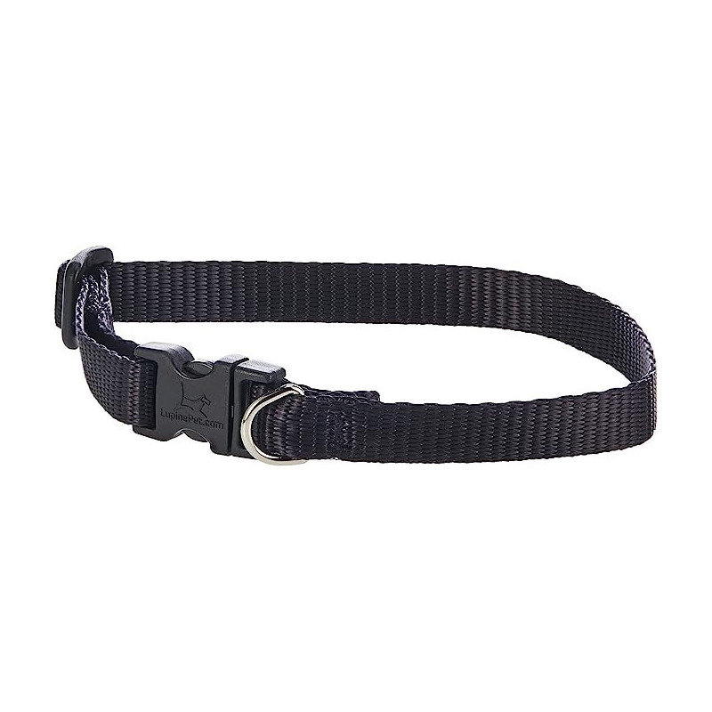 Lupinepet Basics 1/2 Inch Width Adj Collar, 10/16 Inch, Black