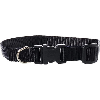 Lupinepet Basics 1/2 Inch Width Adj Collar, 12 Inch, Black