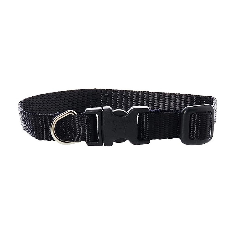 Lupinepet Basics 1/2 Inch Width Adj Collar, 12 Inch, Black