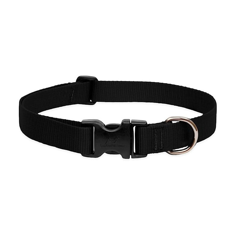 Lupinepet Dog Collar 1 Inch Width, Collar, 12/20, Black