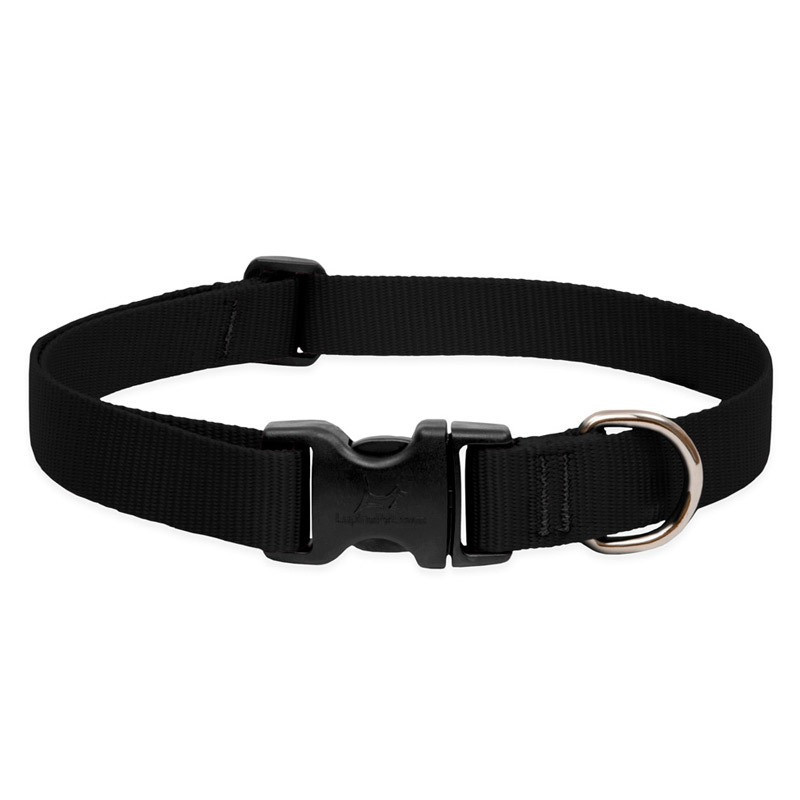 Lupinepet Basics Adjustable Collars For Medium And Large Dogs, Black