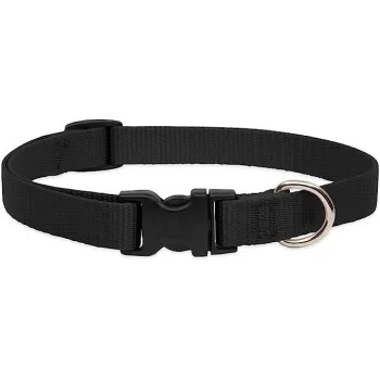 Lupinepet Dog Collar 15/25...