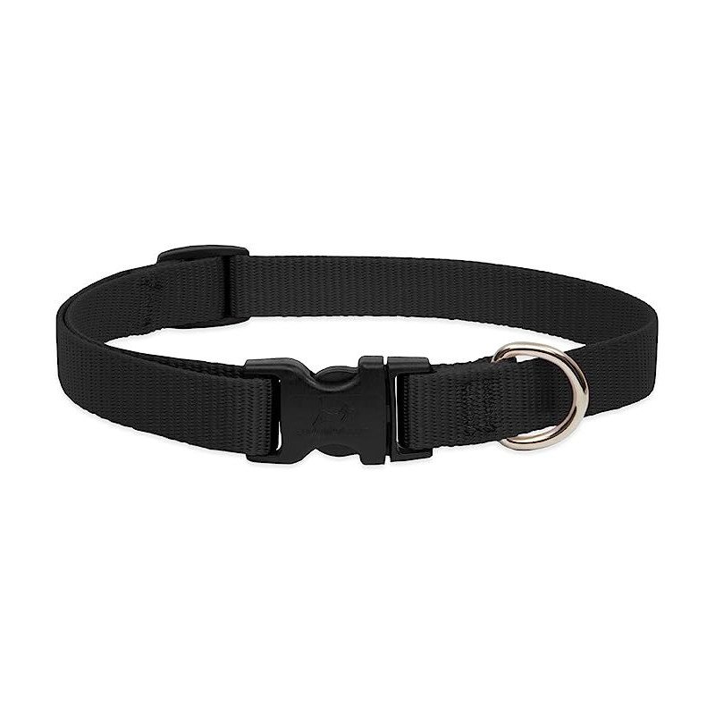 Lupinepet Dog Collar 15/25 Inche, 3/4 Inch Width, Black