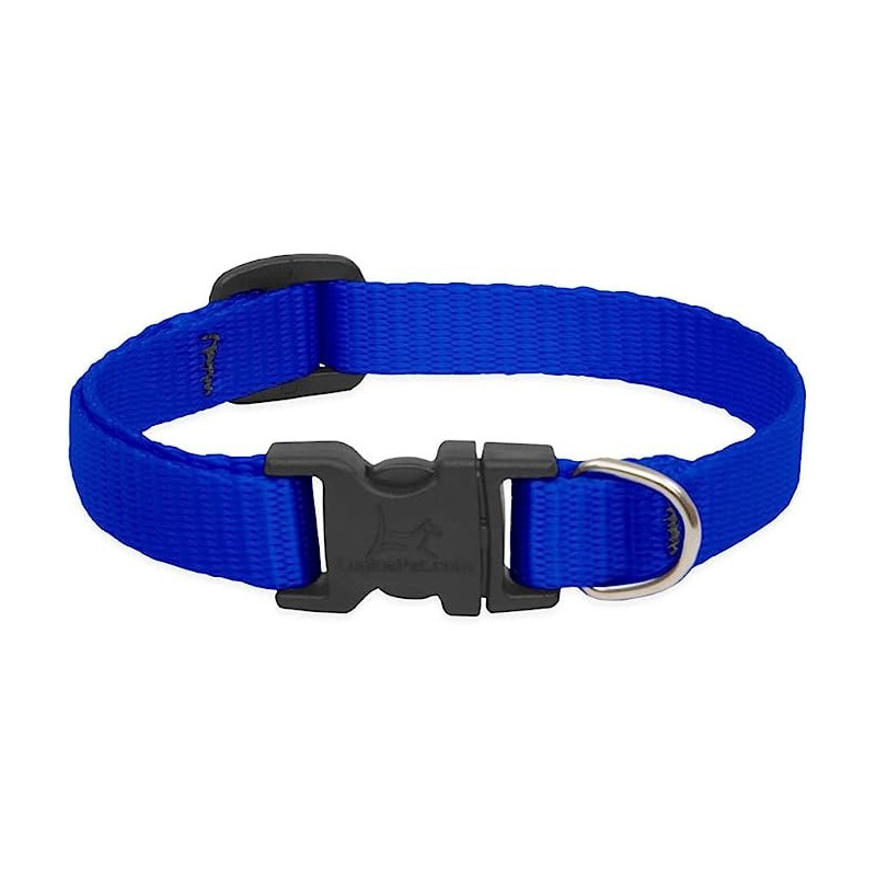 Lupinepet Comfortable Dog Collar 8-12 Inch, 1/2 Inch Width, Blue