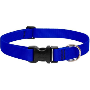 Lupinepet Comfortable Dog Collar 12/20, 1 Inch Width, Blue