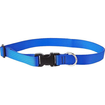 Lupinepet Comfortable Dog Collar 16/28 Inch, 1 Inch Width, Blue
