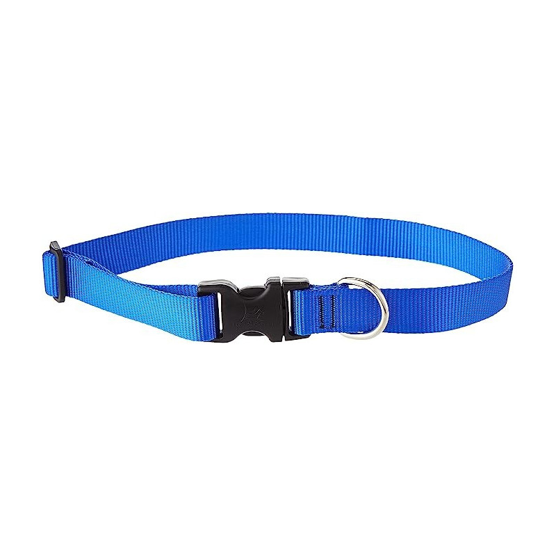 Lupinepet Comfortable Dog Collar 16/28 Inch, 1 Inch Width, Blue