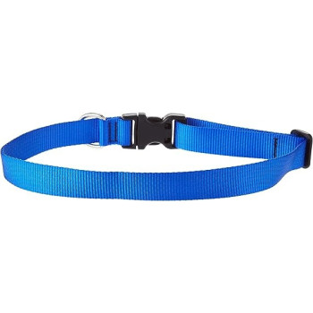 Lupinepet Comfortable Dog Collar 16/28 Inch, 1 Inch Width, Blue
